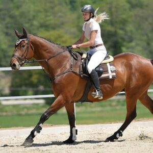 Abbigliamento & Accessori