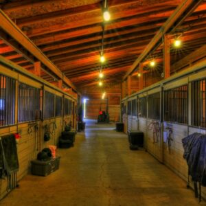Accessori per Scuderia - Paddock