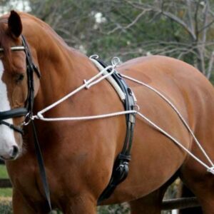 Redini ed Accessori da lavoro