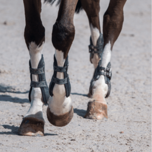 Paracolpi & Protezioni Western ed Inglesi