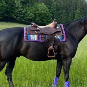 Selle Western, Inglesi, Spagnole e Trekking