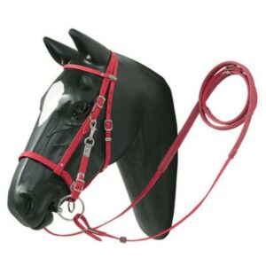 Briglia Cavezza Pioneer in Biothane con Redini