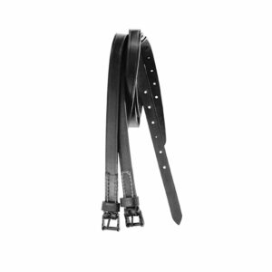 Porta Speroni Spagnoli in Cuoio