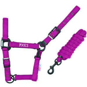 Cavezza Poolâ€™s in Nylon e Neoprene con Lunghina Fucsia