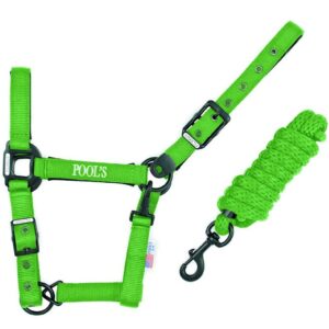 Cavezza Poolâ€™s in Nylon e Neoprene con Lunghina Verde Fluo