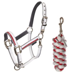 Cavezza Equestro con Lunghina Modello Red Drim Bianco