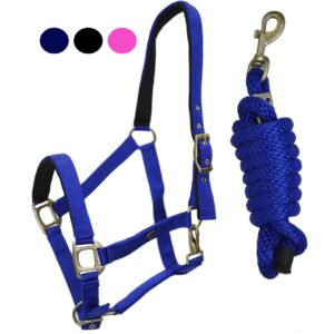 Cavezza Imbottita con Lunghina Winner con Fibbie Satinate