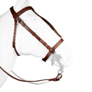 Briglia Spagnola â€œOriginalâ€ con Frange Marrone