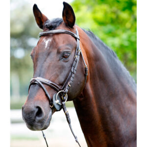Testiera Inglese in Pelle Lucida con Strass sul Frontalino e Nasalina con Redini