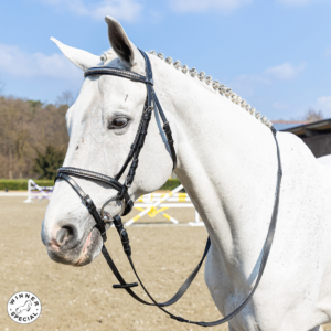 Briglia Inglese Winner Special Clincher Argentato e Redini