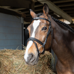 Briglia Inglese Winner Frontalino con Filetto e Strass Completa Redini