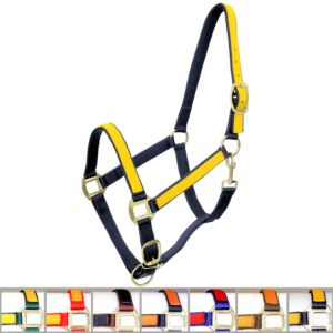 Cavezza Winner in Nylon Rinforzata Bicolore