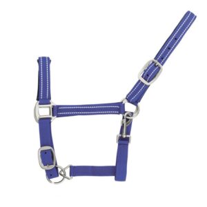 Cavezza in Nylon Reflective