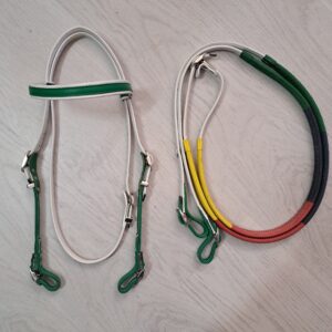 Briglia da Corsa in Cuoio con Redini Bianco Verde