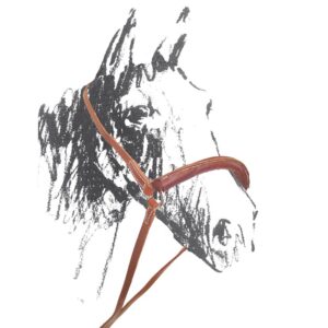 Camarra Maremmana Artigianale in Cuoio