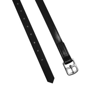 Staffili in Biothane Derby