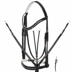 Briglia con Doppie Redini e Pettorale in Cuoio con Strass