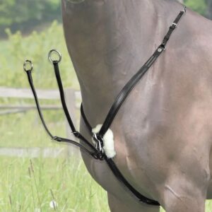 Pettorale Inglese Equityum Modello Edwin