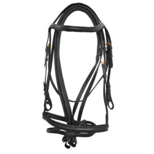 Briglia Inglese Derby con Redini