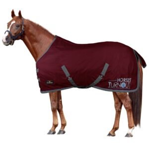 Coperta da Paddock Modello Turnout 200 gr Bordeaux