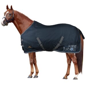 Coperta da Paddock Modello Turnout 200 gr Blu Navy