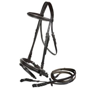 Briglia Inglese con Profilo Argentato