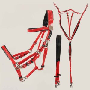 Briglia Cavezza Redini e Pettorale Tecno E in Biothane Rosso