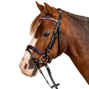 Briglia Inglese con Redini Star Pink